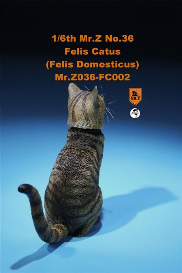 送料無料 1/6 Mr. Z Animal Model No.36 家猫 Felis Catus (all