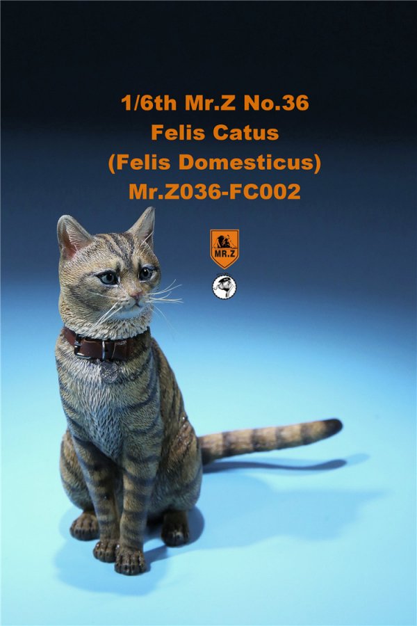 送料無料 1/6 Mr. Z Animal Model No.36 家猫 Felis Catus (all six