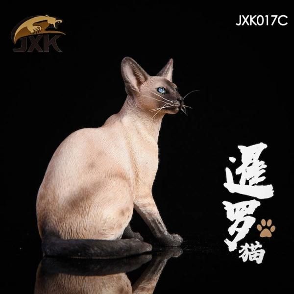 送料無料 1/6 JxK Jxk017 シャム 猫 - 1/6フィギュアの通販