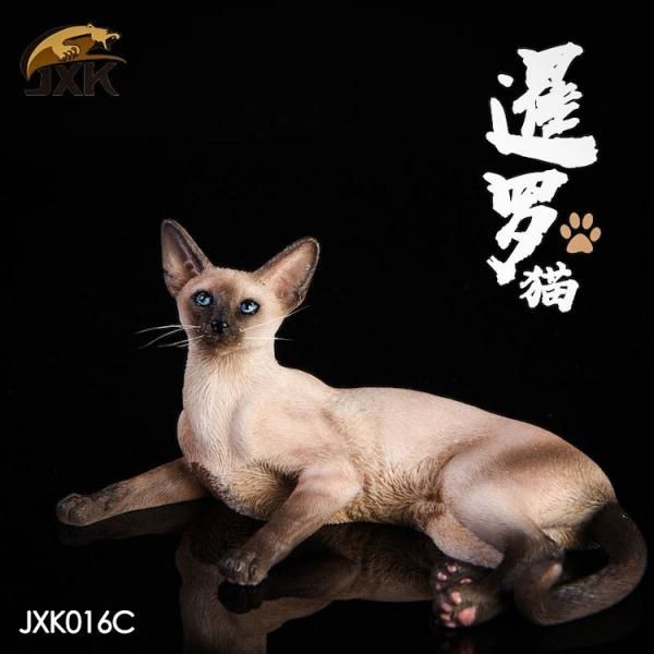 送料無料 予約 1/6 JxK Jxk016 シャム 猫 - 1/6フィギュアの通販