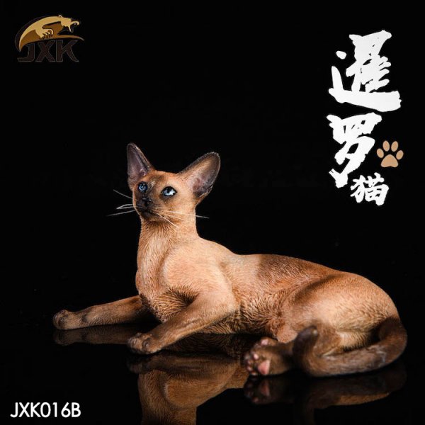 送料無料 予約 1/6 JxK Jxk016 シャム 猫 - 1/6フィギュアの通販、予約なら トイザキュート Since 2008