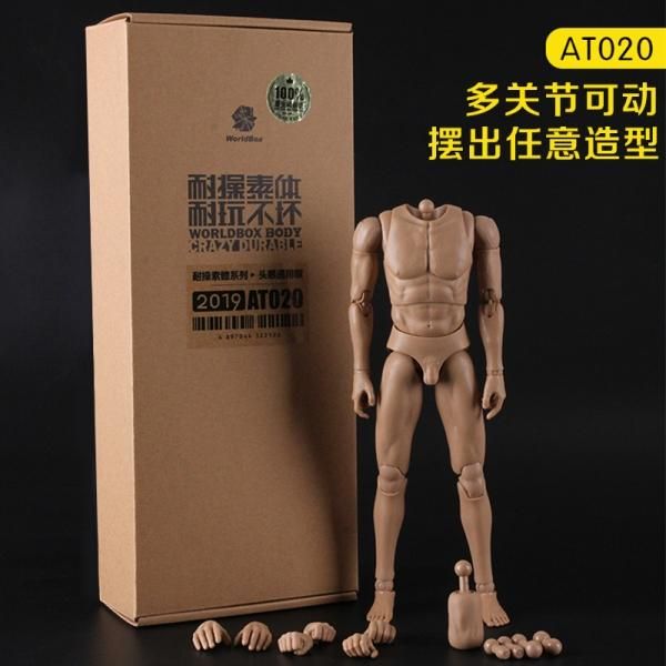 送料無料 1/6 WorldBox AT020 通用男性素体 - 1/6フィギュアの