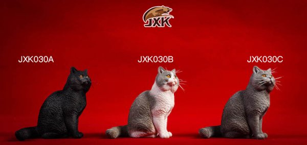 送料無料 1/6 JXK JXK030 ブリティッシュショートヘア猫 - 1/6フィギュアの通販、予約なら トイザキュート Since 2008