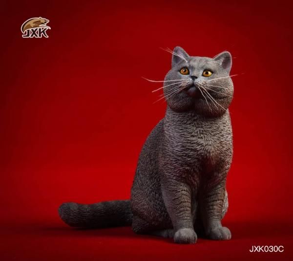 Amazon | Mr.Z 1/6 サイズ エキゾチック・ショートヘア 猫