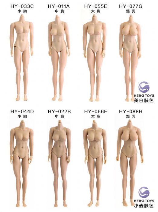 送料無料 1/12 HENG TOYS シームレス 女性素体 - 1/6フィギュアの通販、予約なら トイザキュート Since 2008