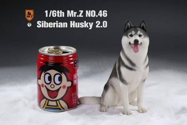 Amazon | Mr.Z 1/6 サイズ シベリアン・ハスキー可愛い 滑稽 犬