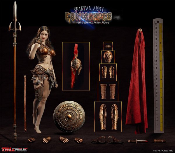 送料無料 1/6 TBLeague PL2020-165ABC スパルタ美人ファイター Spartan Army Commander 欧米女性フルセット  - 1/6フィギュアの通販、予約なら トイザキュート Since 2008