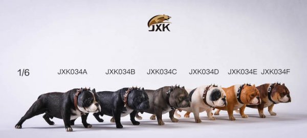 送料無料 1/6 JxK Studio JKX034 アメリカンブリー ピットブル 犬 スタチュー - 1/6フィギュアの通販、予約なら  トイザキュート Since 2008