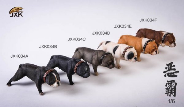 送料無料 1/6 JxK Studio JKX034 アメリカンブリー ピットブル 犬 スタチュー - 1/6フィギュアの通販、予約なら  トイザキュート Since 2008