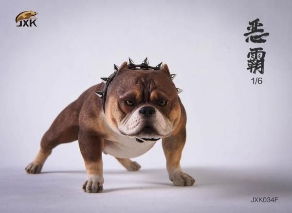 ピット ・ ブル 犬 子犬 - Pixabayの無料写真