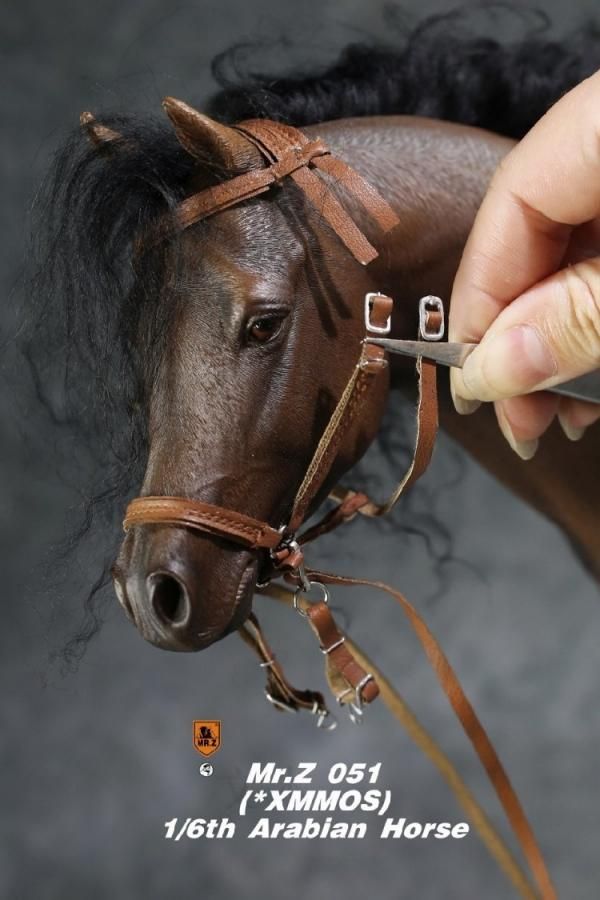 うま 2022 Ninja ZX-25R / SE(2BK-ZX250E) POWERBOX FULL｜SP忠男