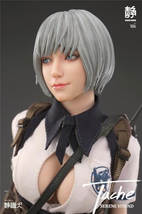 送料無料 1/6 I8 Toys NO.501S612-S Tache Serene Hound Troop