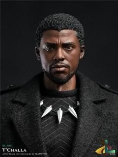 ̵ 1/6 SL-001 T'CHALLA  ե륻å