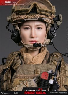 ̵ 1/6 DAMTOYS DMS015 ڥ졼󡧥åɡ OPERATION RED SEA Gunner Tong Li