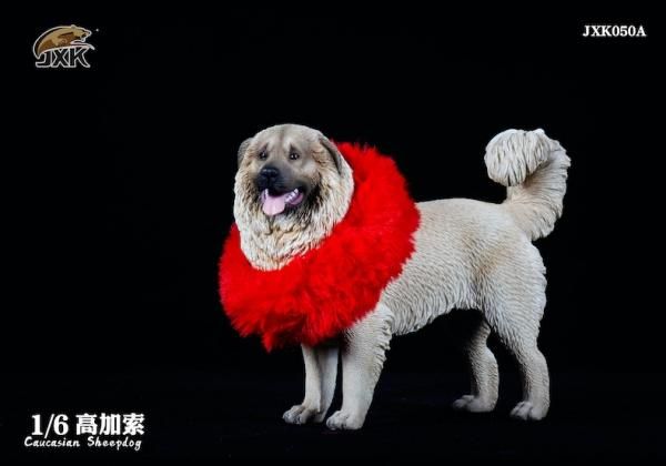 シェプスキー (husky × shepherd)【北海道・女の子・2023年5月14
