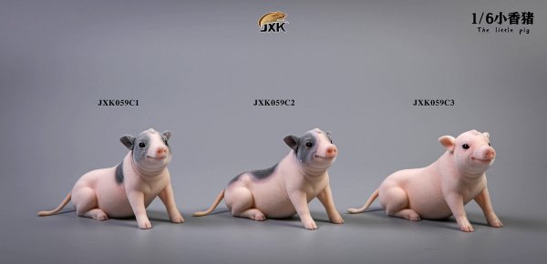 送料無料 1/6 JXK studio JXK059 ミニ豚 The little pig - 1/6 