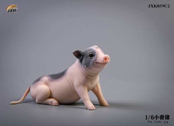 送料無料 1/6 JXK studio JXK059 ミニ豚 The little pig - 1/6 