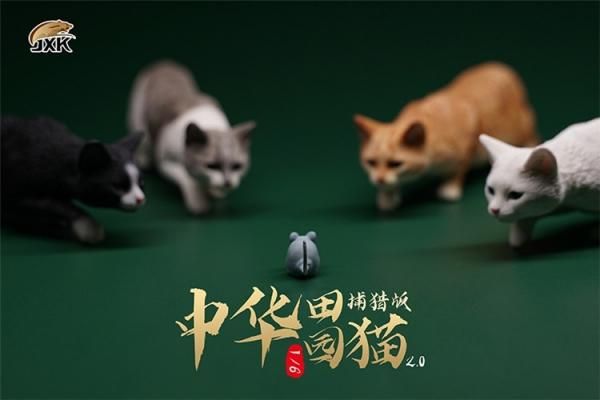 送料無料 1/6 JXK studio JXK062 中華田園猫 とネズミ - 1/6