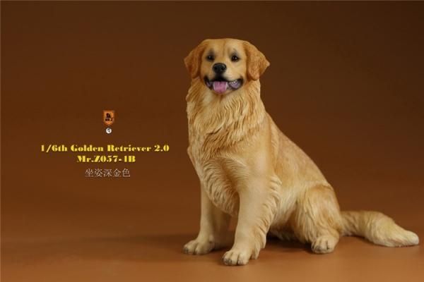 レトリバーページ 送料無料 1/6 MR.Z MRZ057 ゴールデン・レトリバー犬 - 1/6