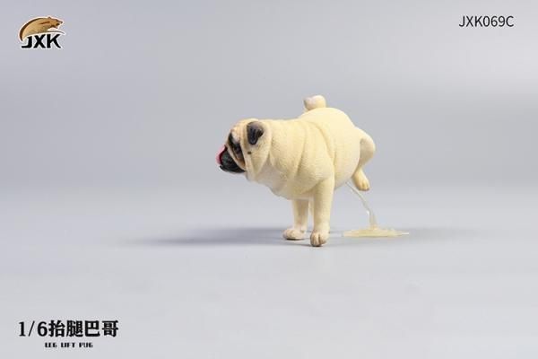 送料無料 1/6 JXK studio JXK069 Leg Lift Pug おしっこ パグ犬