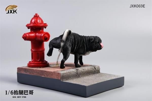 送料無料 1/6 JXK studio JXK069 Leg Lift Pug おしっこ パグ犬
