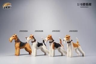  送料無料 1/6 JXK studio JXK068 フォックス・テリア犬