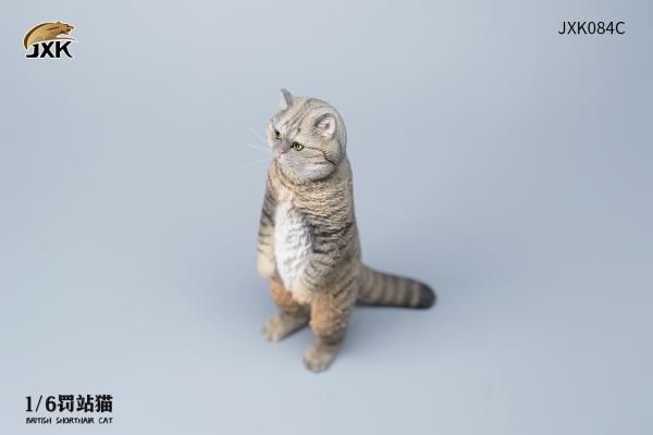直美ねこ Amazon | 新東北化学工業 猫砂 フォーキャットゴールド 8L | 新