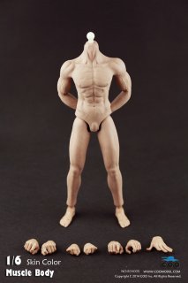 送料無料 1/6 COOMODEL COO B34005 Muscle male Body  2021最新版　男性素体ボデイ