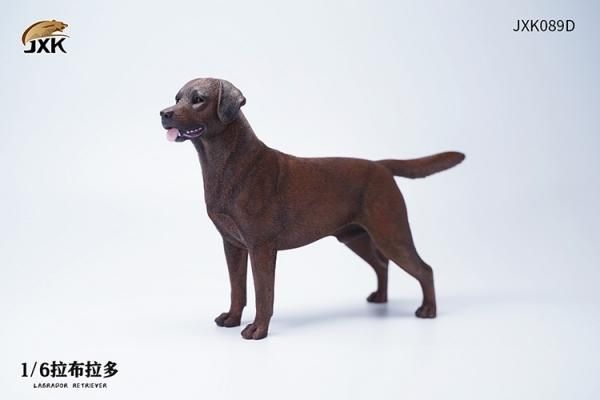 ラブラドールページ 予約 送料無料 1/6 JXK JXK139 デブラブラドール・レトリバー犬