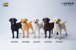 ̵ 1/6 JXK studio JXK089 ֥ɡ롦ȥС