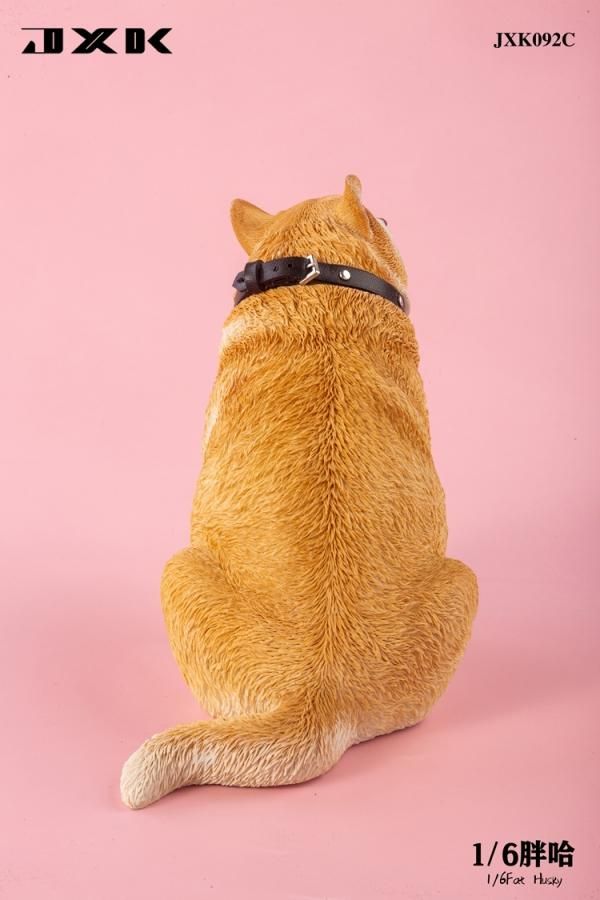 送料無料 1/6 JXK studio JXK092 太るハスキー犬 - 1/6