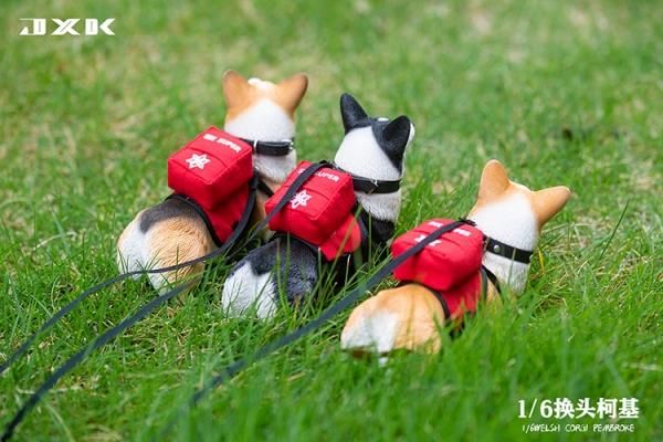 コスモスコーギー 送料無料 1/6 JXK studio JXK093 頭替え ウェルシュ・コーギー犬