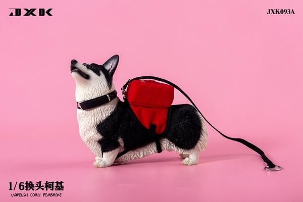 送料無料 1/6 JXK studio JXK093 頭替え ウェルシュ・コーギー犬