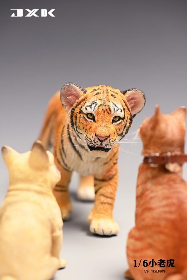 送料無料 1/6 JXK studio JXK105 ペットトラ 虎 - 1/6フィギュアの通販