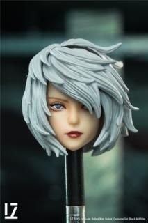 <img class='new_mark_img1' src='https://img.shop-pro.jp/img/new/icons25.gif' style='border:none;display:inline;margin:0px;padding:0px;width:auto;' />̵  1/6 LZ TOY SET008 եͽإå