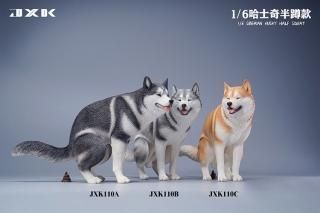 ͽ ̵ 1/6 JXK studio JXK110 ϥ
