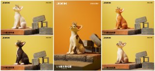予約 送料無料 1/6 JXK studio JXK123 デボンレックス猫