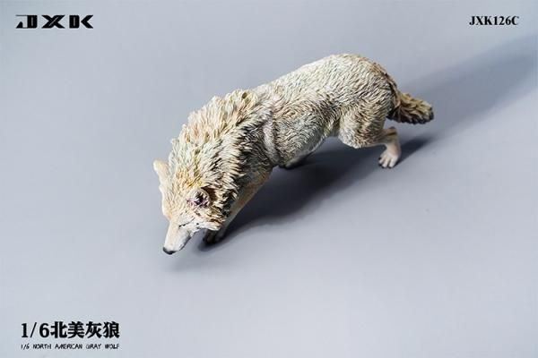 Amazon | BACALYSO | JXK 1/6 サイズ ハイイロオオカミ