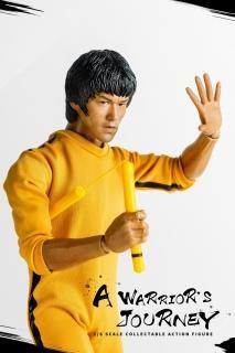 ̵ 1/6 ֥롼꡼ ֥إå ե륻å