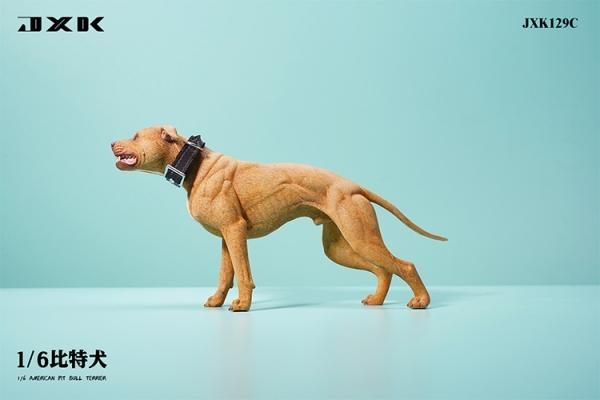 【ピットブルマル】 送料無料 1/6 JXK studio JXK129 ピットブル犬 - 1/6フィギュア
