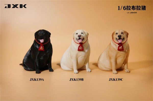 予約 送料無料 1/6 JXK JXK139 デブラブラドール・レトリバー犬 - 1/6