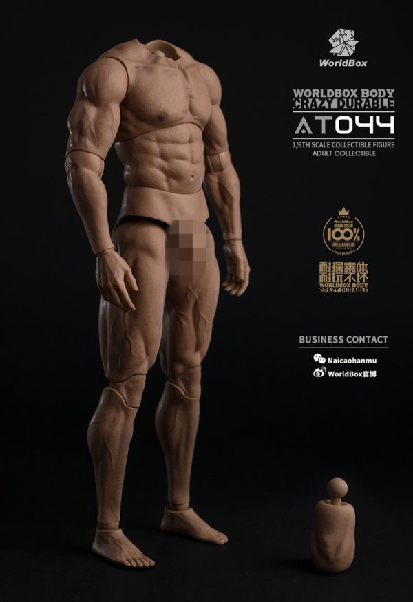 送料無料 1/6 Worldbox AT044 Durable Body 筋肉版男性素体ボディ - 1/6フィギュアの通販、予約なら トイザキュート  Since 2008