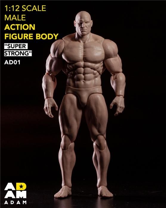 CMTMYS 1:6 BODY シームレス素体 男性フィギュア ジャンク