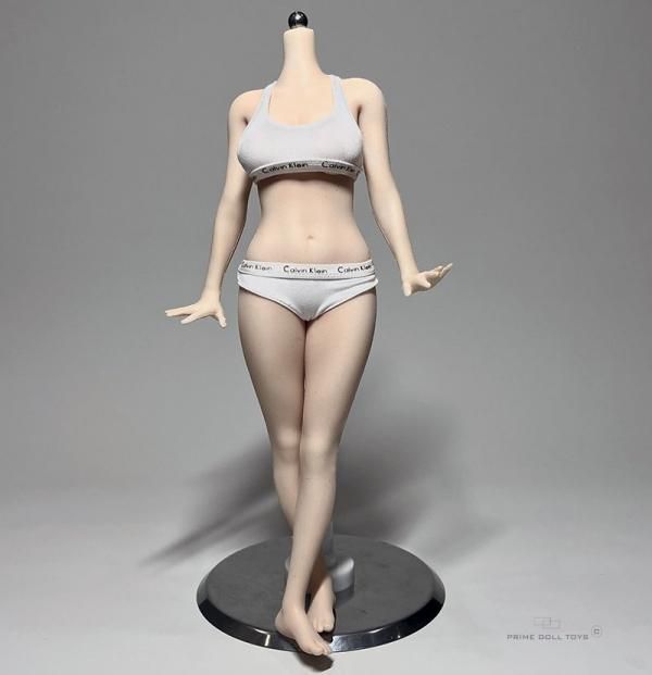 予約 送料無料 1/6 PD-TOYS PDTOYS-S1.2 セクシー女子大生