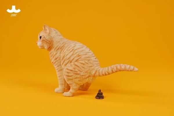 ねこページ Amazon.com: 今日のこねこのチー(1) (KCデラックス