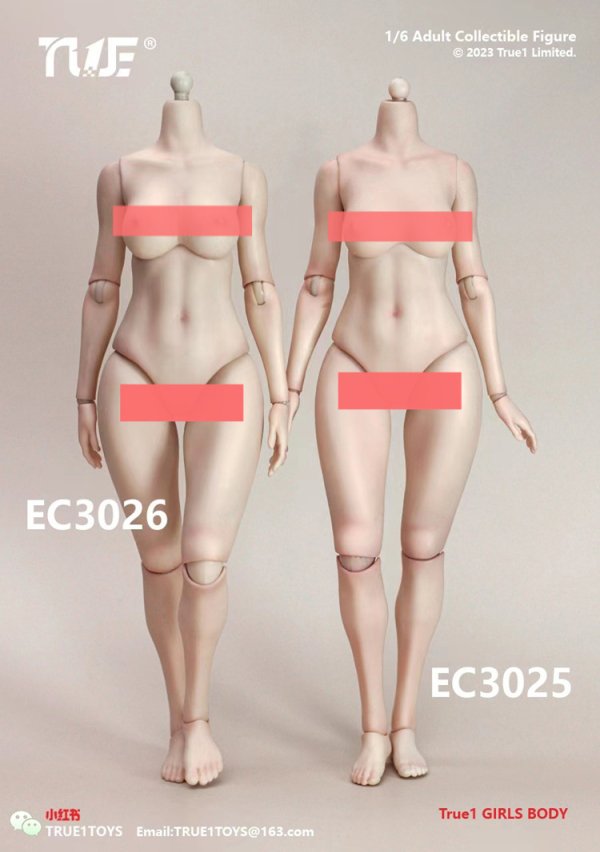 送料無料 1/6 True1Toys EC3025/EC3026 ヘッド無し 女性素体ボディ - 1/6フィギュアの通販、予約なら トイザキュート  Since 2008