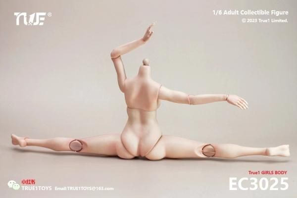 送料無料 1/6 True1Toys EC3025/EC3026 ヘッド無し 女性素体