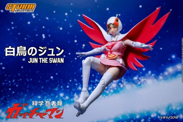 予約 送料無料 1/12 Storm Toys GMKE02 JUN THE SWAN G-3 白鳥のジュン アジアン美人女性フルセット -  1/6フィギュアの通販、予約なら トイザキュート Since 2008