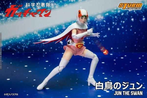Amazon.co.jp: 韓国限定 カカオフレンズ チュンシク シーン