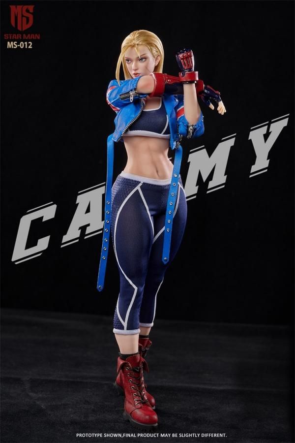 STAR MAN 1/6 女性スパイ ブルービー MS-012 Star Man 1:6 Agent-Blue Bee Street 6 Female Figure [MS-012